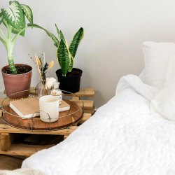 An Honest View on Polyester and Latex Mattresses