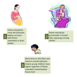 Babies, Children and Flame Retardant chemicals – The Risks