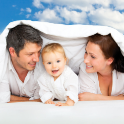 Chemical Free Mattresses - The Facts