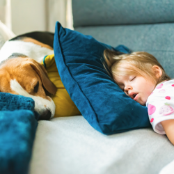 Flame retardants in our furniture
