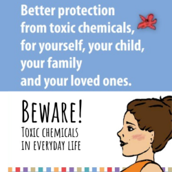 Pregnancy, Babies & Chemicals