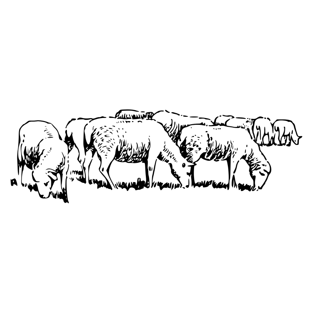 The Truth About Natural Mattresses