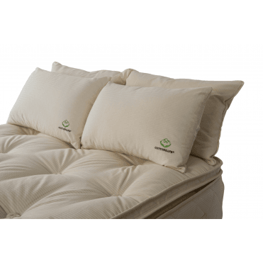 Cottonsafe® Hollowfibre Pillow