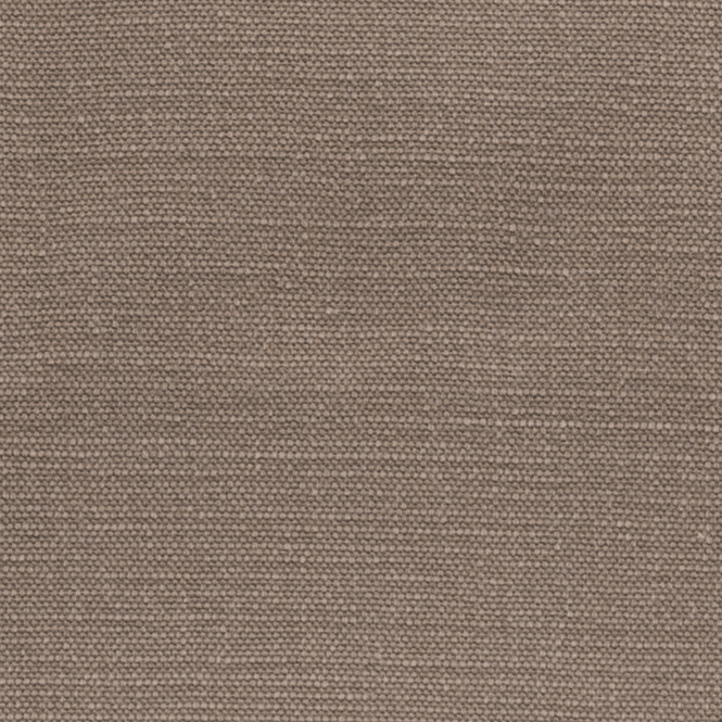House Cotton Dove Swatch