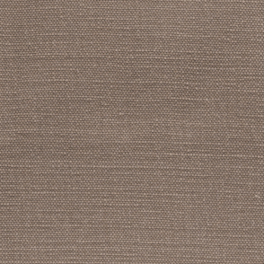 House Cotton Dove Swatch