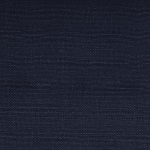 House Cotton Indigo Swatch
