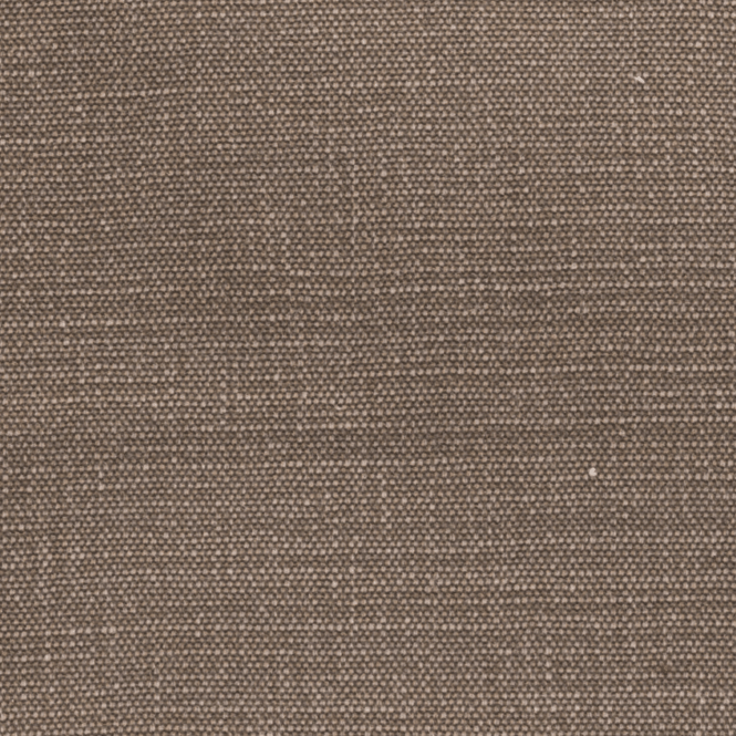 House Cotton Mink Swatch