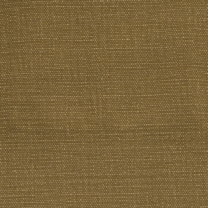 House Cotton Olive Swatch