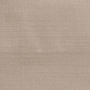 House Cotton Putty Swatch