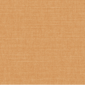 Linara Mustard Swatch