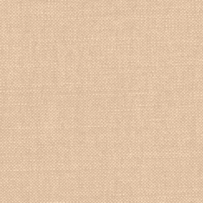 Linara Putty Swatch