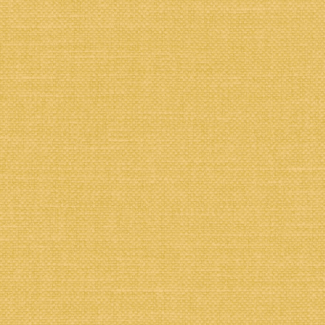 Linara Turmeric Swatch