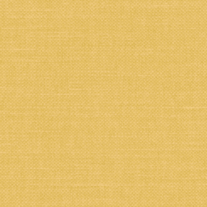 Linara Turmeric Swatch